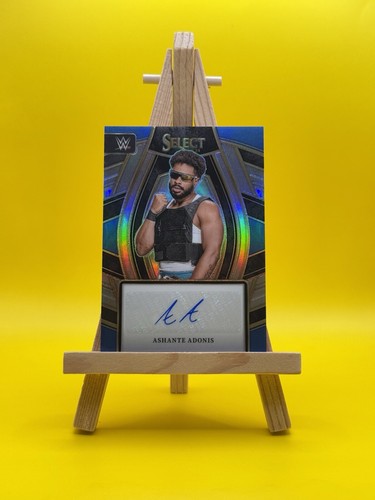 2024 panini select - select, ashante