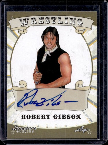 Robert gibson wwe wwf - wwf, wcw